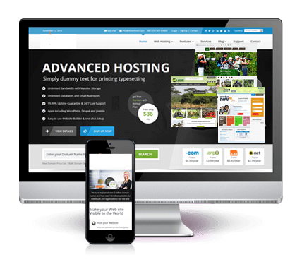 Best Website Designing in Africa, Web Hosting and Mobile Application development